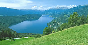 Mirnock